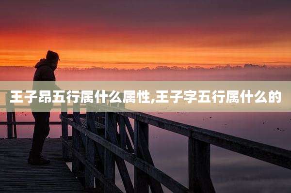 王子昂五行属什么属性,王子字五行属什么的