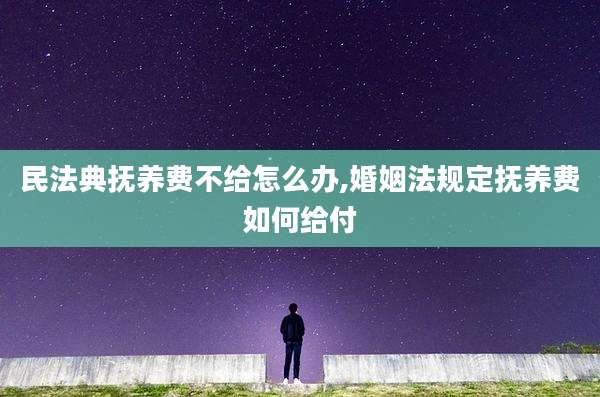 民法典抚养费不给怎么办,婚姻法规定抚养费如何给付