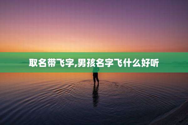 取名带飞字,男孩名字飞什么好听