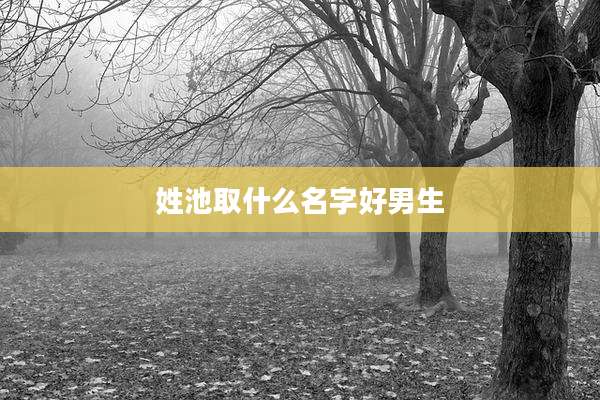 姓池取什么名字好男生
