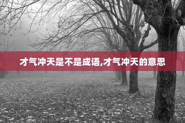 才气冲天是不是成语,才气冲天的意思