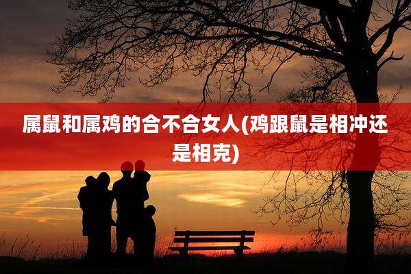 属鼠和属鸡的合不合女人(鸡跟鼠是相冲还是相克)
