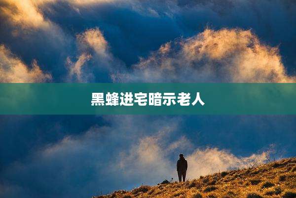 黑蜂进宅暗示老人