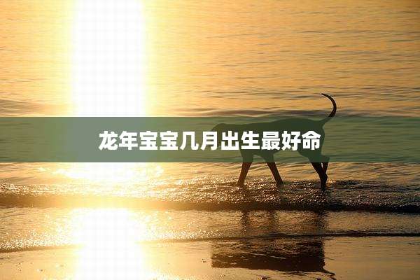 龙年宝宝几月出生最好命