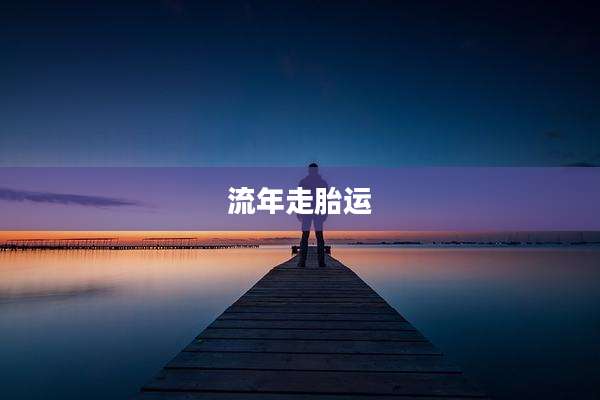 流年走胎运