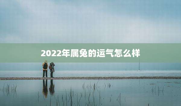 2022年属兔的运气怎么样