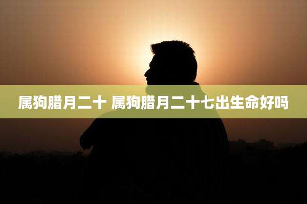 属狗腊月二十 属狗腊月二十七出生命好吗