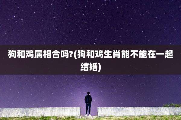 狗和鸡属相合吗?(狗和鸡生肖能不能在一起结婚)