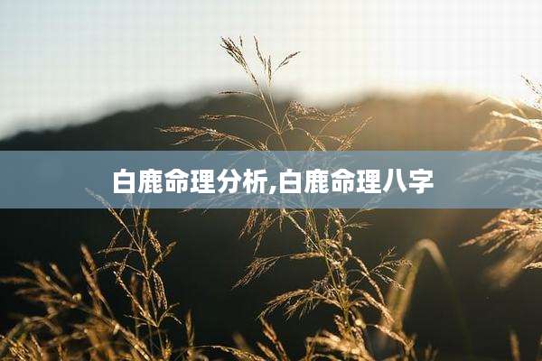 白鹿命理分析,白鹿命理八字
