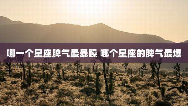 哪一个星座脾气最暴躁 哪个星座的脾气最爆