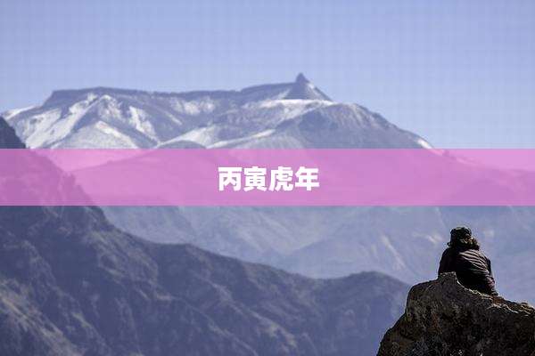 丙寅虎年