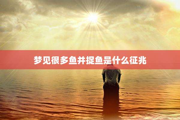 梦见很多鱼并捉鱼是什么征兆