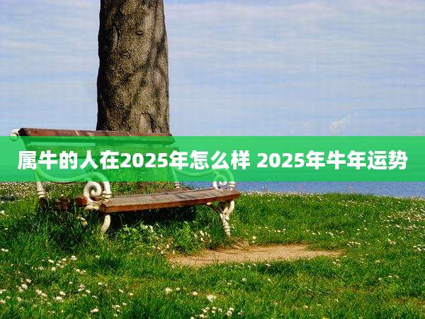 属牛的人在2025年怎么样 2025年牛年运势