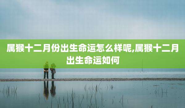 属猴十二月份出生命运怎么样呢,属猴十二月出生命运如何