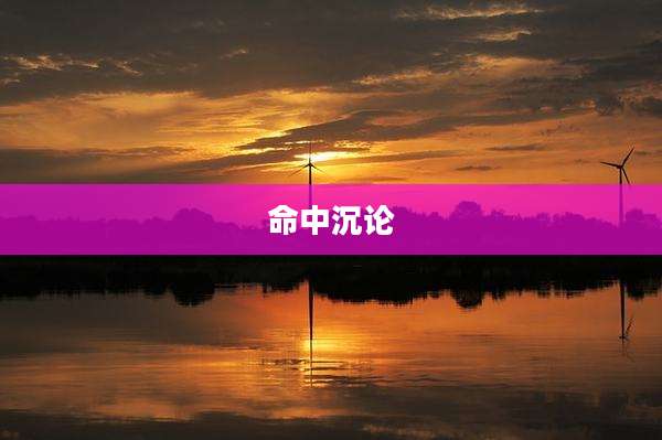 命中沉论