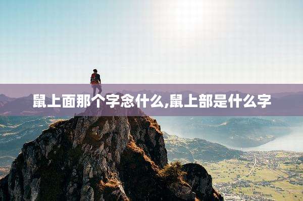 鼠上面那个字念什么,鼠上部是什么字