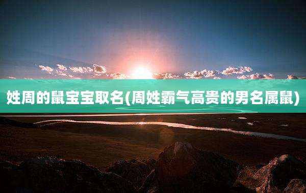 姓周的鼠宝宝取名(周姓霸气高贵的男名属鼠)