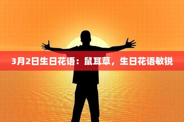 3月2日生日花语：鼠耳草，生日花语敏锐
