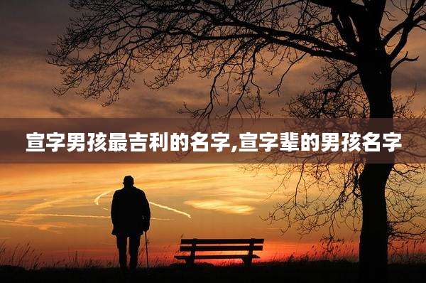 宣字男孩最吉利的名字,宣字辈的男孩名字
