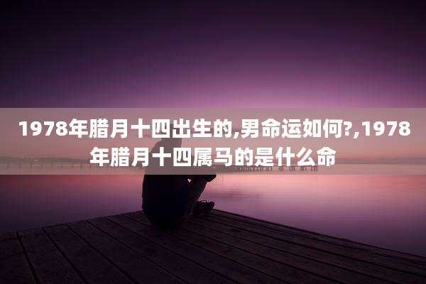1978年腊月十四出生的,男命运如何?,1978年腊月十四属马的是什么命