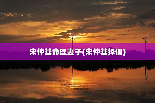宋仲基命理妻子(宋仲基择偶)