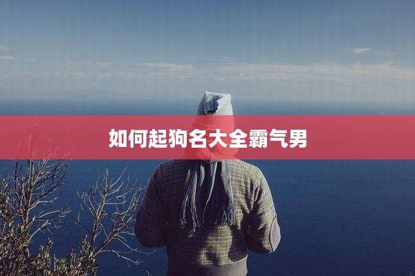 如何起狗名大全霸气男