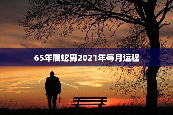 65年属蛇男2021年每月运程