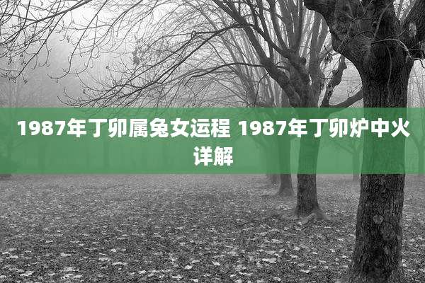 1987年丁卯属兔女运程 1987年丁卯炉中火详解