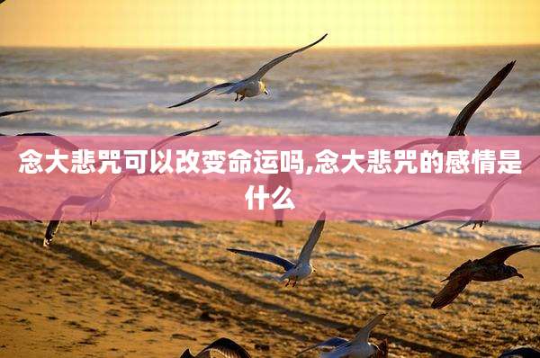 念大悲咒可以改变命运吗,念大悲咒的感情是什么