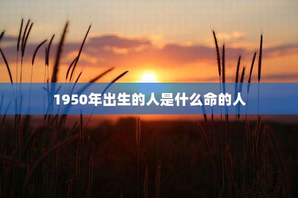 1950年出生的人是什么命的人