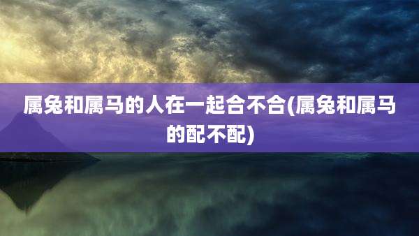 属兔和属马的人在一起合不合(属兔和属马的配不配)