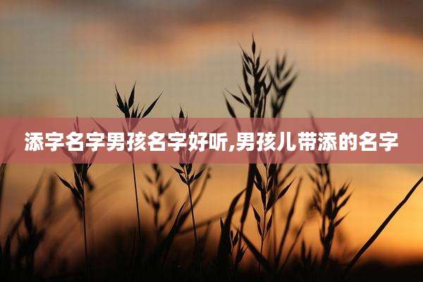 添字名字男孩名字好听,男孩儿带添的名字