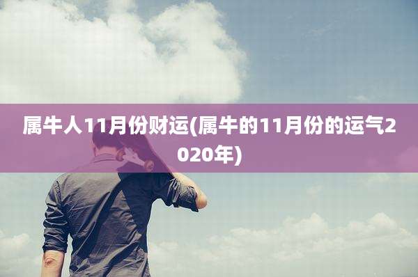 属牛人11月份财运(属牛的11月份的运气2020年)