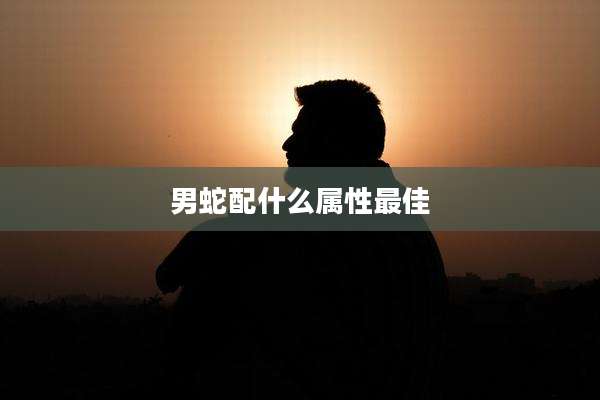 男蛇配什么属性最佳