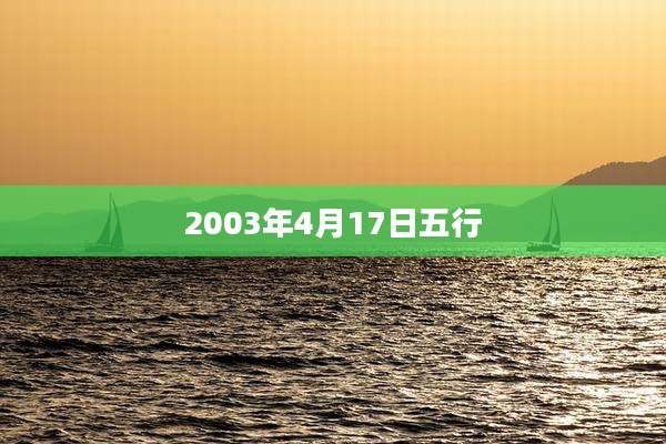2003年4月17日五行