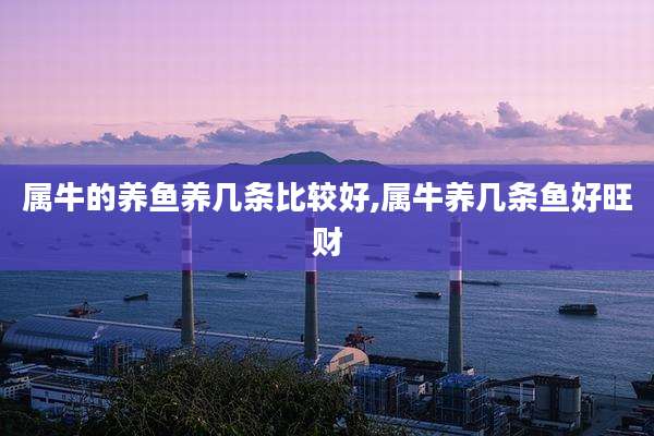 属牛的养鱼养几条比较好,属牛养几条鱼好旺财