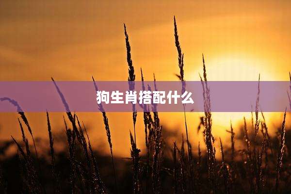 狗生肖搭配什么