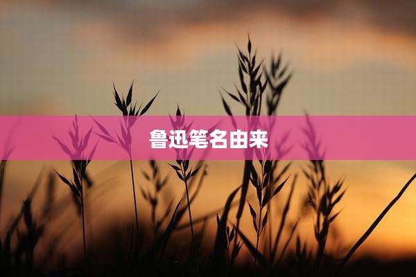 鲁迅笔名由来