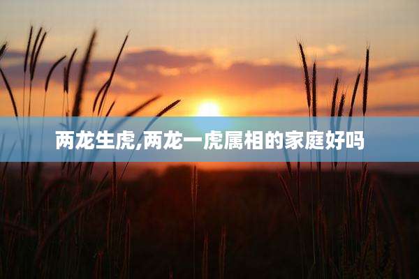 两龙生虎,两龙一虎属相的家庭好吗