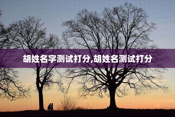 胡姓名字测试打分,胡姓名测试打分