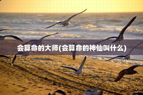 会算命的大师(会算命的神仙叫什么)
