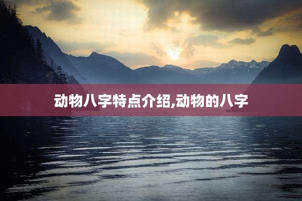 动物八字特点介绍,动物的八字
