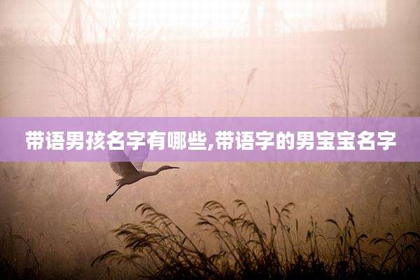 带语男孩名字有哪些,带语字的男宝宝名字