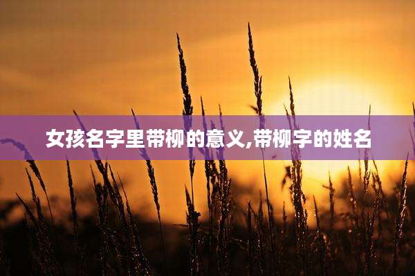女孩名字里带柳的意义,带柳字的姓名