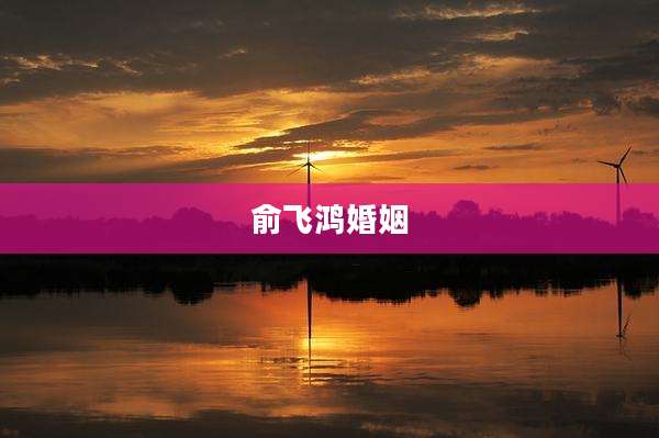 俞飞鸿婚姻