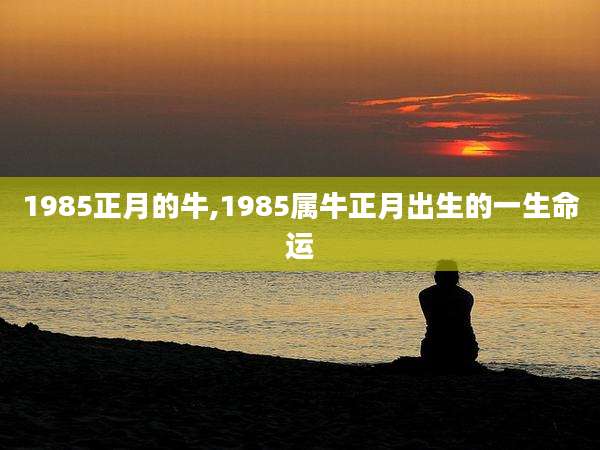 1985正月的牛,1985属牛正月出生的一生命运