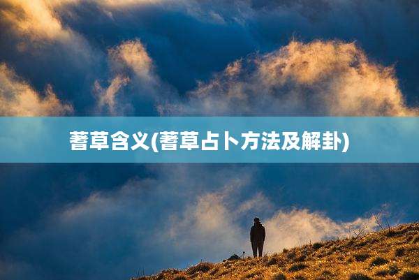 蓍草含义(蓍草占卜方法及解卦)