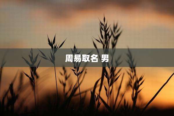 周易取名 男