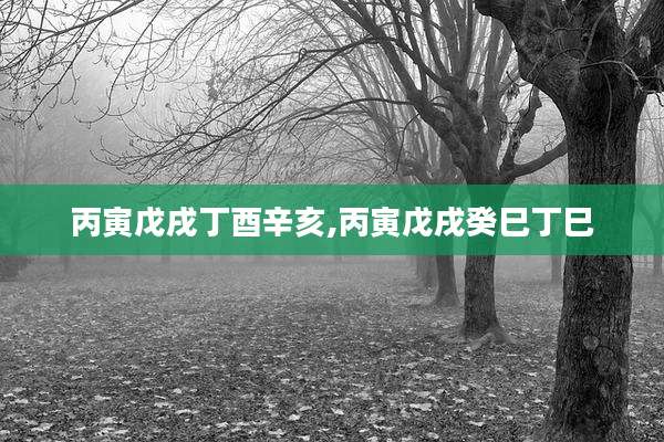 丙寅戊戌丁酉辛亥,丙寅戊戌癸巳丁巳