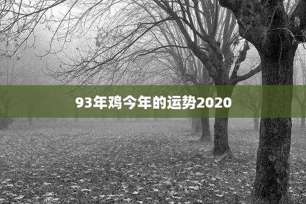 93年鸡今年的运势2020